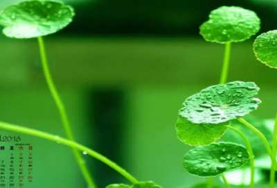 ​宝宝2岁生日发朋友圈经典说说(精选59句)