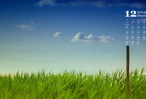 1708578218995151.png image.png