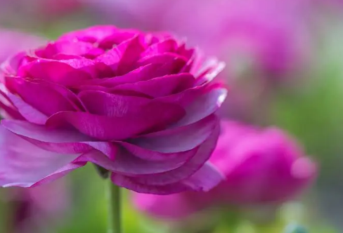 1708578384435660.png image.png