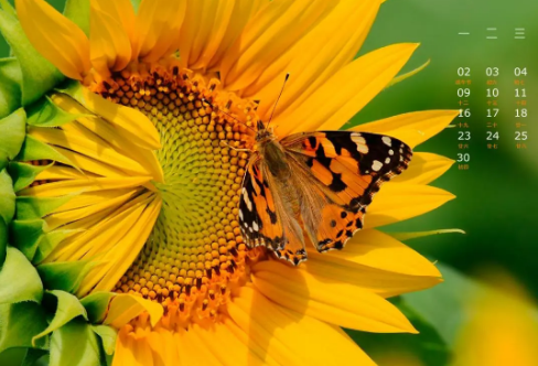 1708578551257756.png image.png