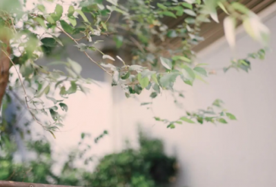 ​原耽作者说的话 原耽女孩说的话(精选80句)