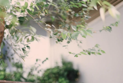 1708578717774057.png image.png