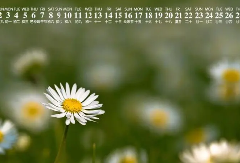 1708579050322784.png image.png