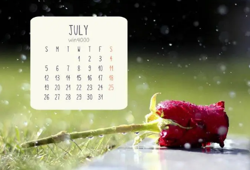 1708579216302517.png image.png