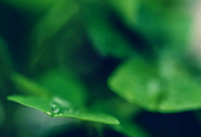​下雨天描写心情发朋友圈 雨天心情低落说说发朋友圈