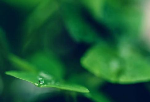 1708579383480539.png image.png