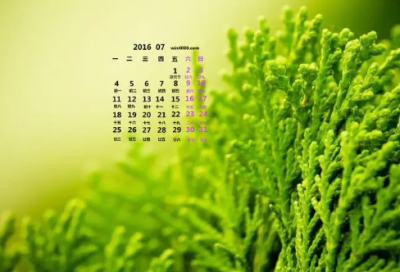 ​夏天的朋友圈可爱文案 夏天到了说说文案2024