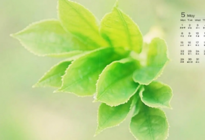 ​瘦了的说说 怎么发自己瘦了的说说(精选126句)