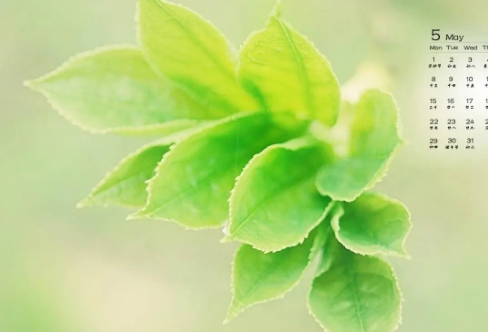 1708582879372359.png image.png