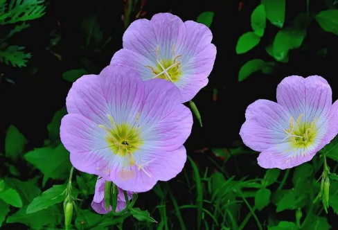 1708583045943134.png image.png