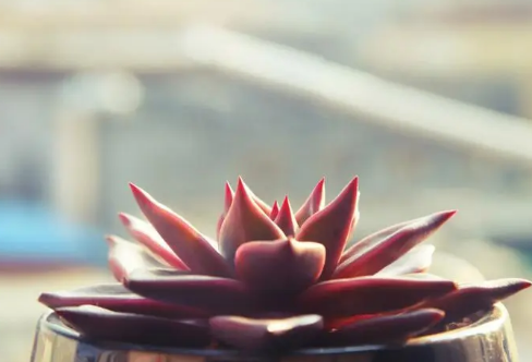 1708583211228368.png image.png