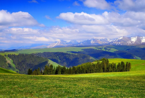 1708583378263609.png image.png