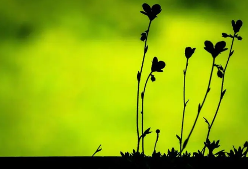 1708583544453097.png image.png