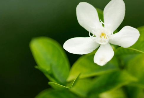 1708583877733740.png image.png