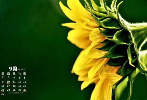 1708584210786293.png image.png