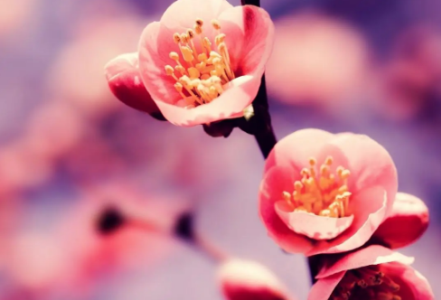 1708584377129970.png image.png