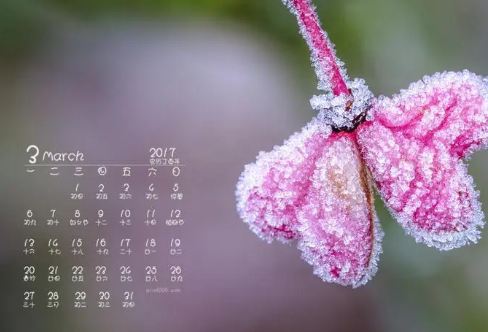 1708584543262910.png image.png