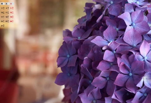 1708584710408770.png image.png