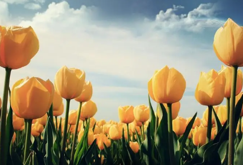 1708585043301758.png image.png