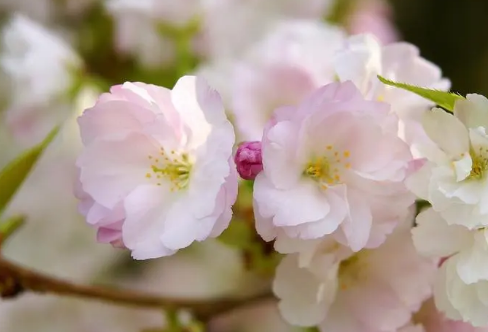 1708585376964827.png image.png