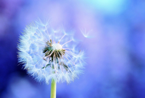 1708585710155305.png image.png