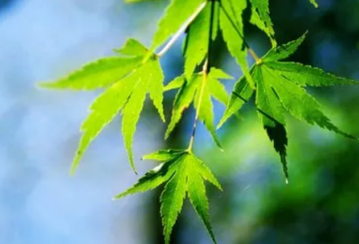 ​女人爱听的暖心话 男人对女人说的暖心话(精选76句)