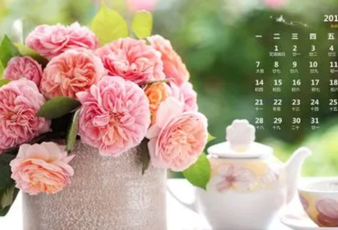 1708586542442950.png image.png