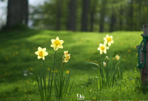 1708586709325338.png image.png