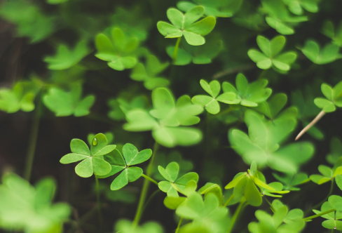 1708586876542727.png image.png