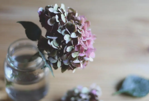 1708587042811531.png image.png