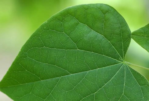 1708587875112880.png image.png