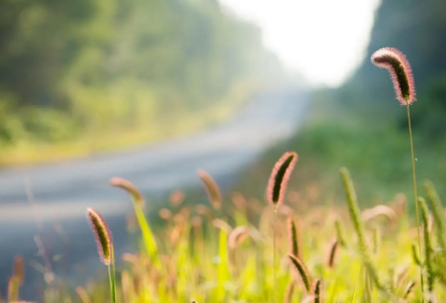 1708588874974259.png image.png