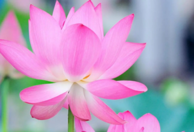 ​发朋友圈幸福说说大全 工作发朋友圈的说说大全