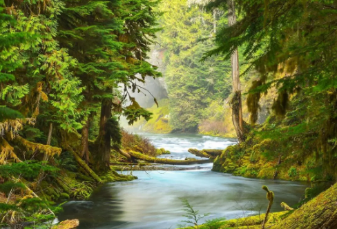 1708589875873570.png image.png