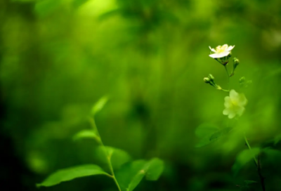 ​伤感说说 有关成熟伤感的说说(精选86句)