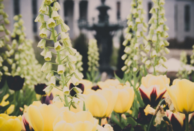 ​《说话的艺术》读后感(精选3篇)