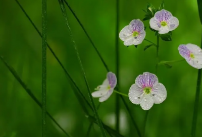 ​衣服朋友圈文案说说 买衣服说说朋友圈文案