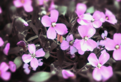 ​适合芒种发朋友圈说说推荐(精选44句)