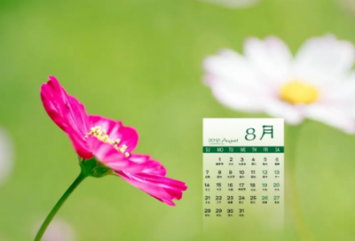 ​夜场说说经典语录 伪装的说说 经典语录(精选78句)