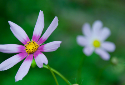 ​风景照片朋友圈说说 晒风景照片的说说(精选101句)