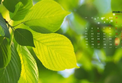 ​无奈的朋友圈说说 好无奈的心情说说朋友圈