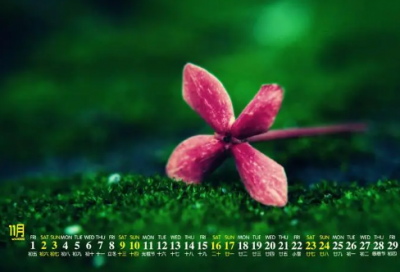 ​朋友圈失眠伤感说说(精选68句)