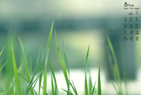 1708594207311658.png image.png