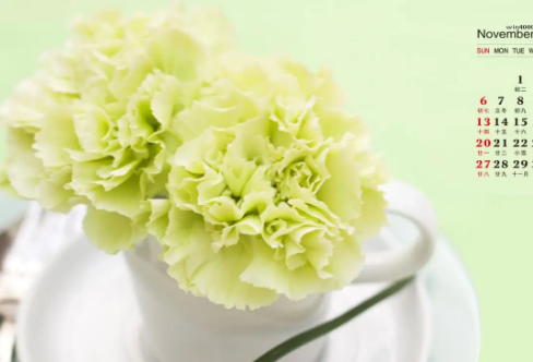 1708594374622616.png image.png