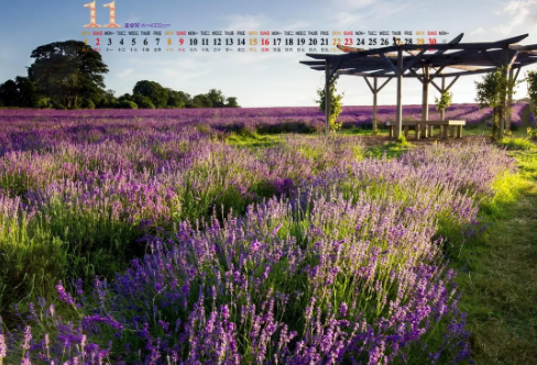 1708594707472724.png image.png