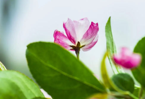 1708594873854191.png image.png