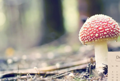 ​儿子感冒发烧说说发朋友圈 感冒发烧的说说发朋友圈图片