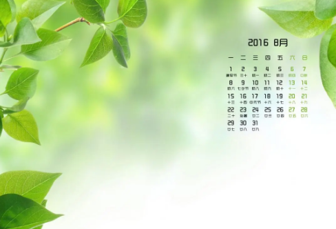 1708595206174312.png image.png