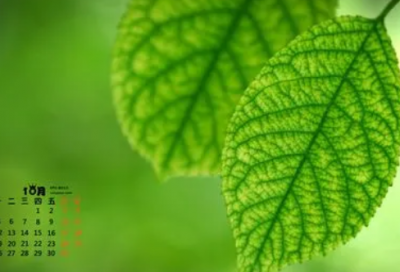 ​风筝的说说心情短语 风筝寄语简短一句话(精选64句)