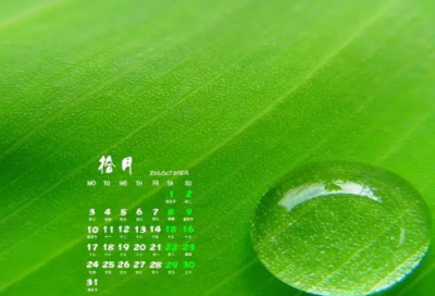 ​带娃的心累崩溃心情说说(精选69句)